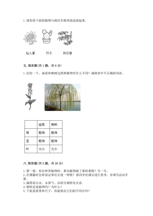 教科版一年级上册科学期末测试卷精品（模拟题）.docx