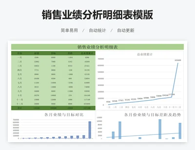 销售业绩分析明细表模版
