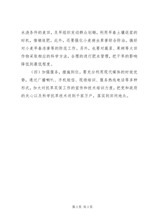 乡镇年度抗旱双保指导方案.docx