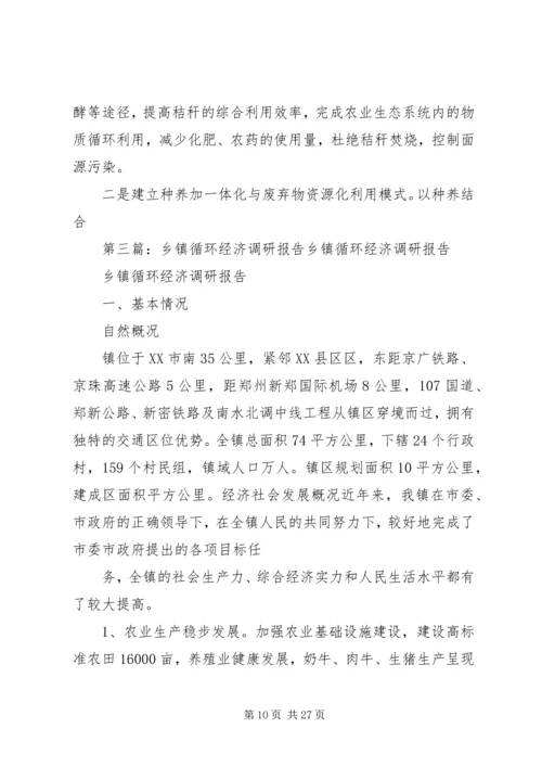 乡镇循环经济调研报告_1.docx