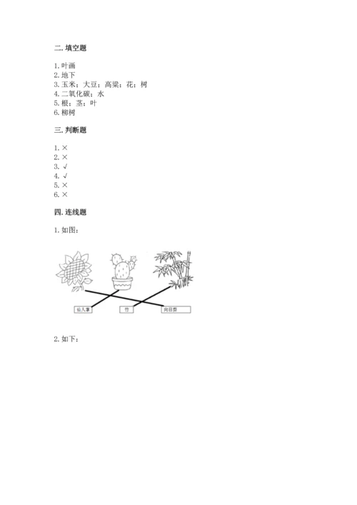 教科版科学一年级上册第一单元《植物》测试卷附答案【预热题】.docx