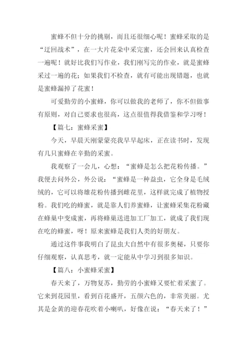 蜜蜂采蜜的作文.docx