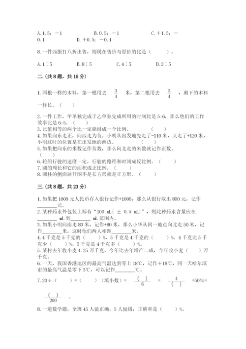 苏教版数学小升初模拟试卷及完整答案【典优】.docx