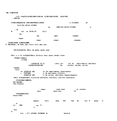 六年级语法专题一名词单复数