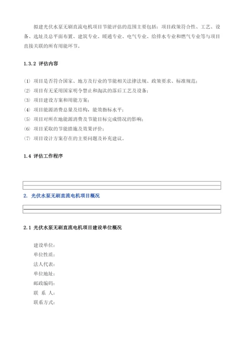 光伏水泵无刷直流电机项目节能评估报告模板.docx