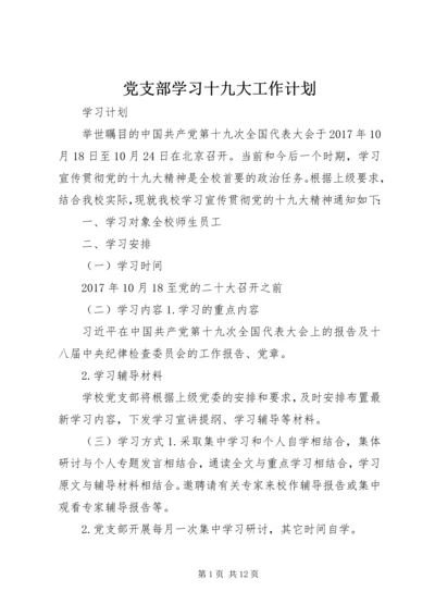 党支部学习十九大工作计划.docx