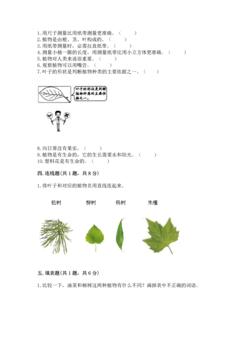 教科版科学一年级上册期末测试卷（能力提升）.docx