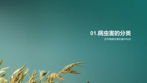 农作物病虫害全解析
