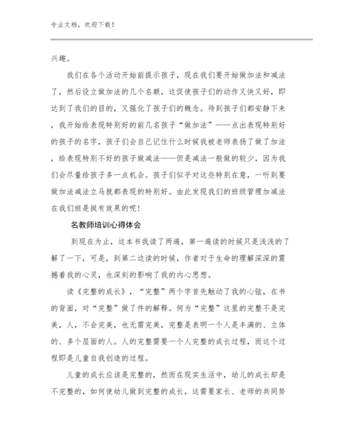 名教师培训心得体会范文29篇.docx