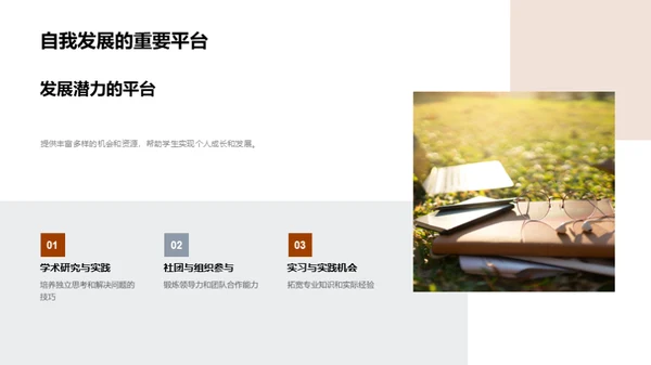 大学生活全方位解析