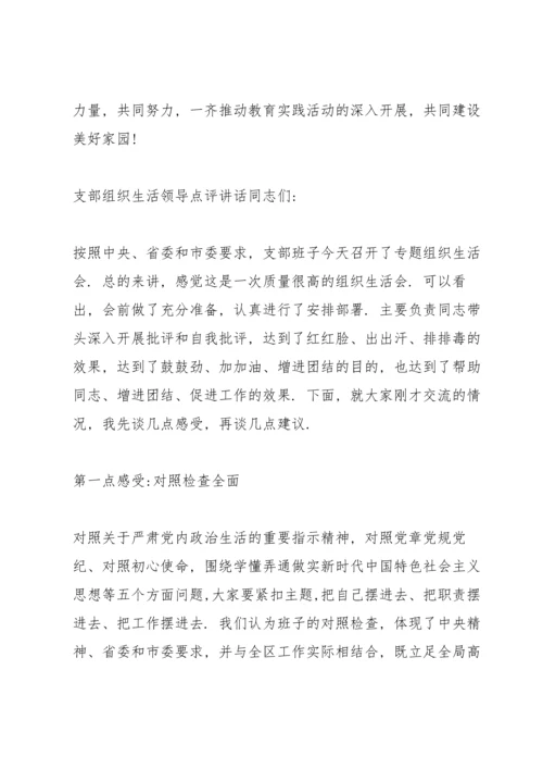 支部组织生活领导点评讲话3篇.docx