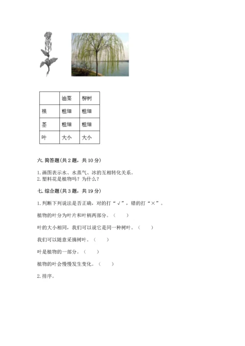 教科版科学一年级上册第一单元《植物》测试卷精品（能力提升）.docx