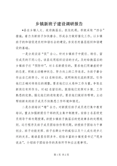 乡镇新班子建设调研报告.docx