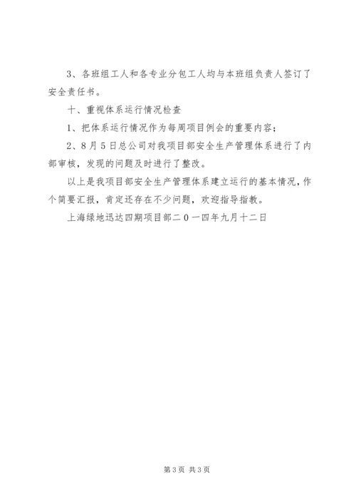 安全生产管理体系建立运行情况汇报.docx