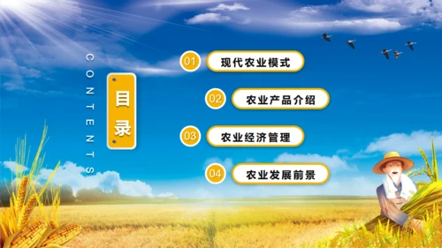 农业项目招商融资报告通用PPT模板