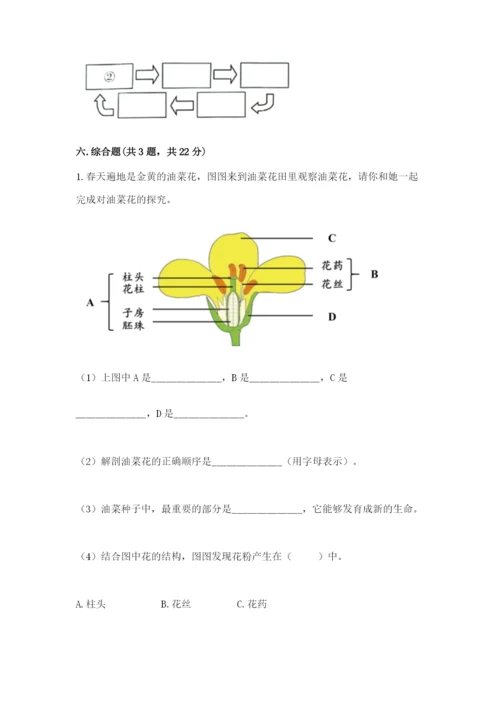 科学四年级下册第一单元植物的生长变化测试卷及完整答案1套.docx