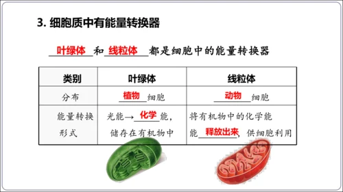 1.1&1.2 认识生物和细胞（复习课件）【2024人教新版七上生物高效完全备课】(共44张PPT)