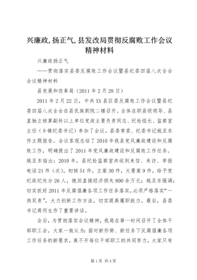 兴廉政,扬正气,县发改局贯彻反腐败工作会议精神材料.docx