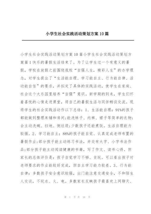 小学生社会实践活动策划方案10篇.docx