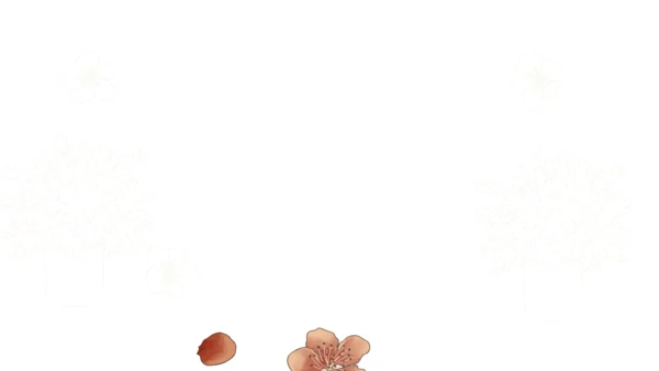 名著导读《巴黎圣母院》读书分享通用PPT