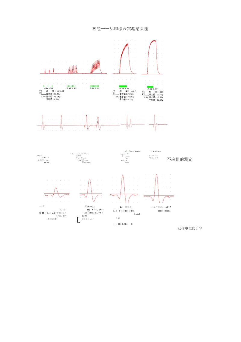 神经肌肉综合实验