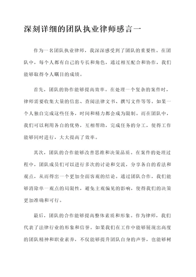 团队执业律师感言