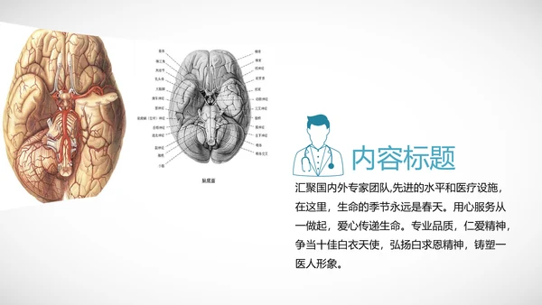 医学医疗大脑研究报告ppt动态模板