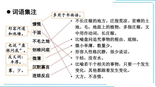 七上语文期中期末复习2_3词语运用每课晨读 课件(共47张PPT)