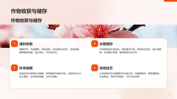 二十四节气霜降PPT模板