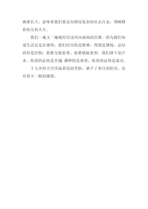 十七岁的天空作文600字.docx