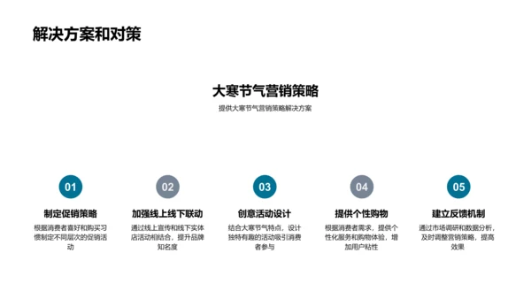 大寒营销实战指导PPT模板