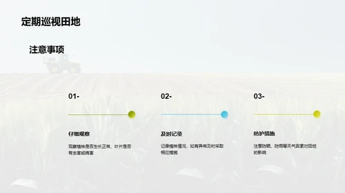 玉米种植全科技攻略