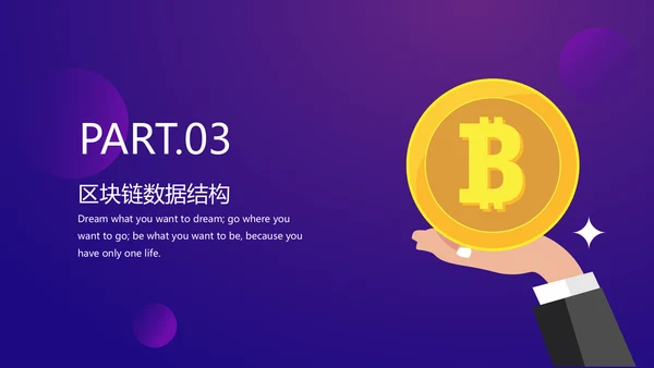 比特币区块链项目数字货币PT模板