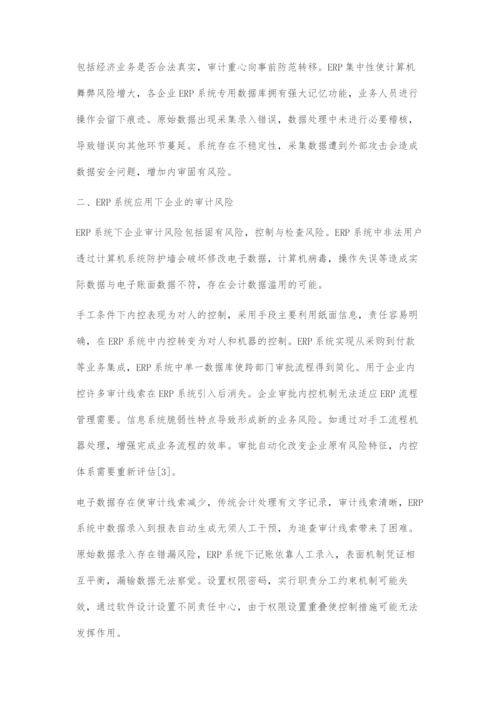 ERP系统下审计风险及其防控策略.docx