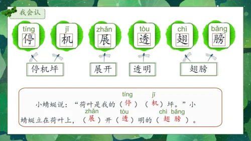【核心素养】部编版语文一年级下册-12. 荷叶圆圆 第1课时（课件）