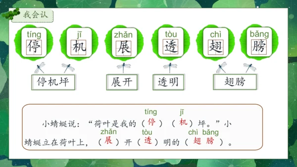【核心素养】部编版语文一年级下册-12. 荷叶圆圆 第1课时（课件）