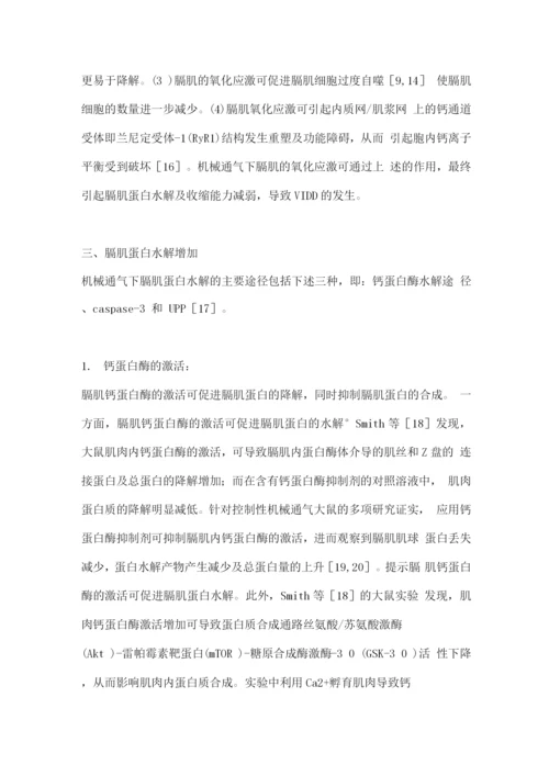 2022呼吸机相关膈肌功能障碍的主要发病机制2.docx