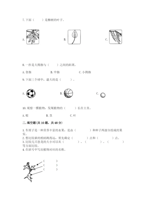 教科版一年级上册科学期末测试卷精品（模拟题）.docx