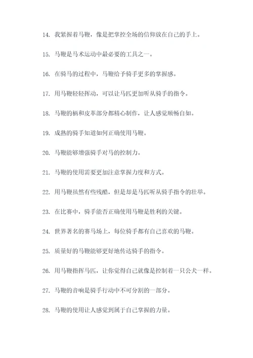 关于马鞭的好词好句