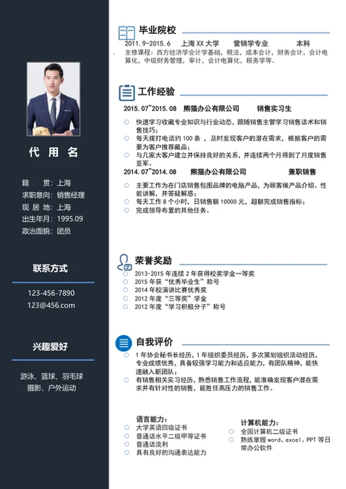 简约风销售经理个人简历模板word简历