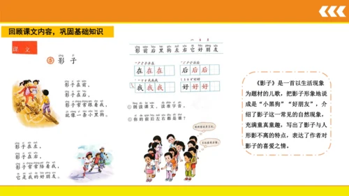 5 影子  课件