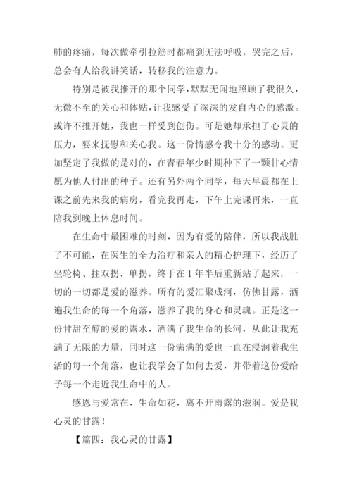 我心灵的甘露作文.docx