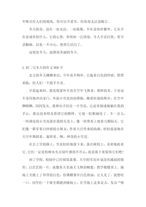 初二写冬天的作文800字5篇.docx