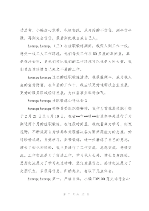 通用挂职锻炼心得体会范文.docx