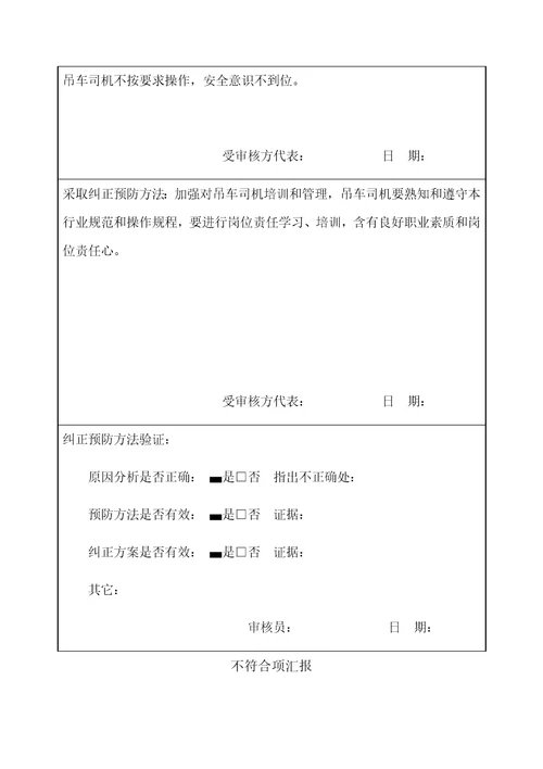 不符合项报告样稿