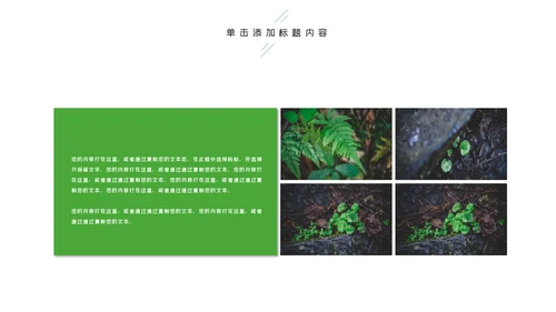 唯美绿色植物发芽植物生长敬畏生命PPT模板