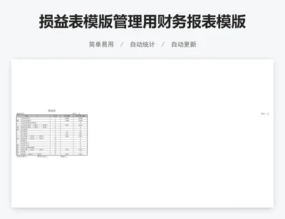 损益表模版管理用财务报表模版