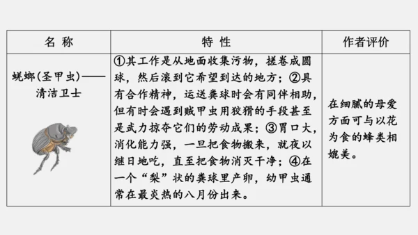 八年级上册语文第五单元 名著导读 《昆虫记》 课件