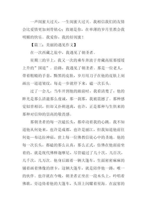 美丽的遇见作文.docx