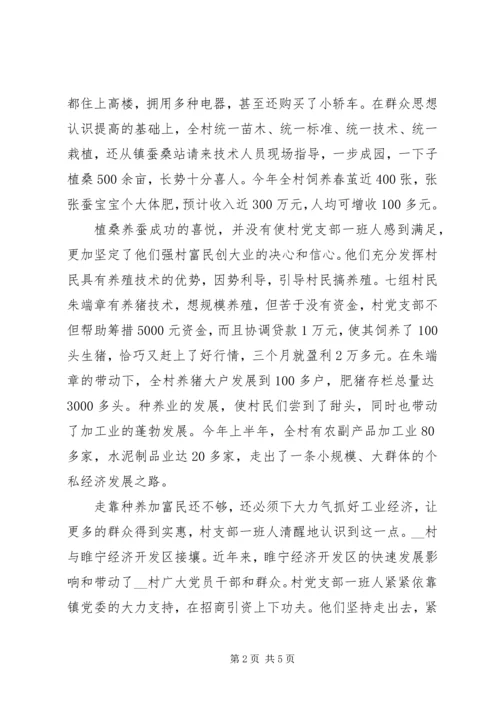 村党支部典型事迹材料.docx